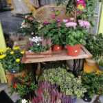 Comme Par Nature Fleuriste Les Herbiers Realisation 4
